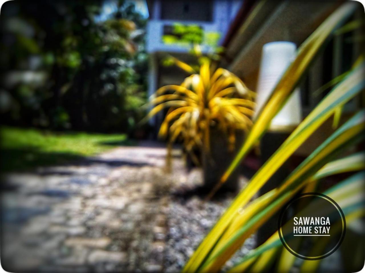 Sawanga Home Stay Велигама Экстерьер фото